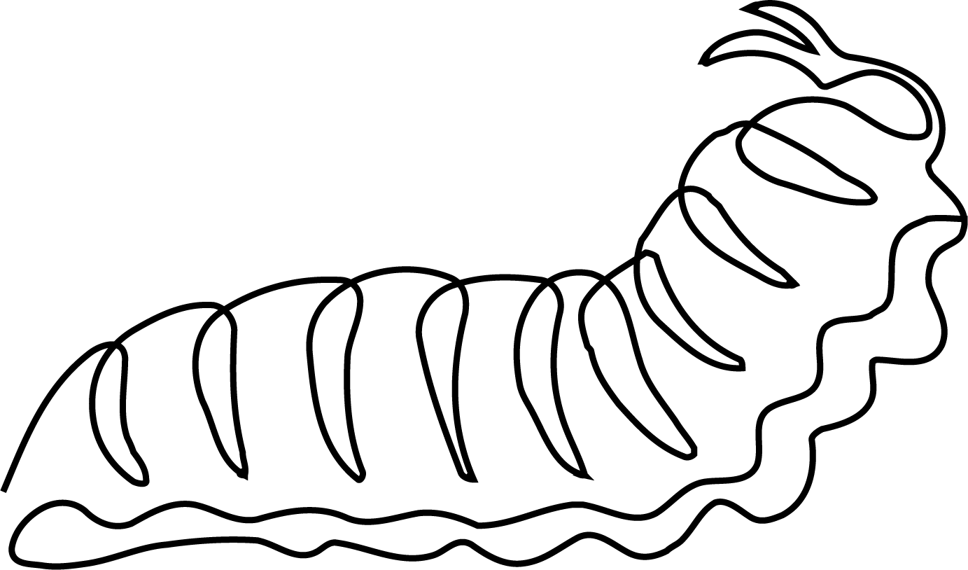 Stage 1