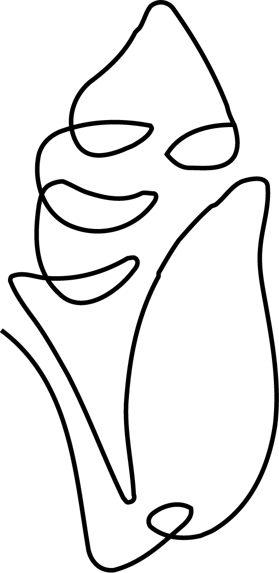 Stage 2